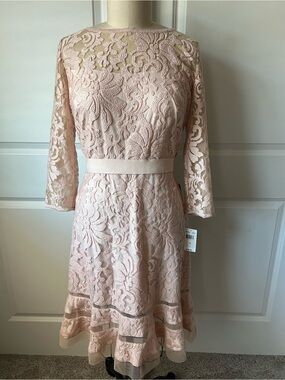 Tadashi Shoji Blush Lace Fit-and-Flare Dress